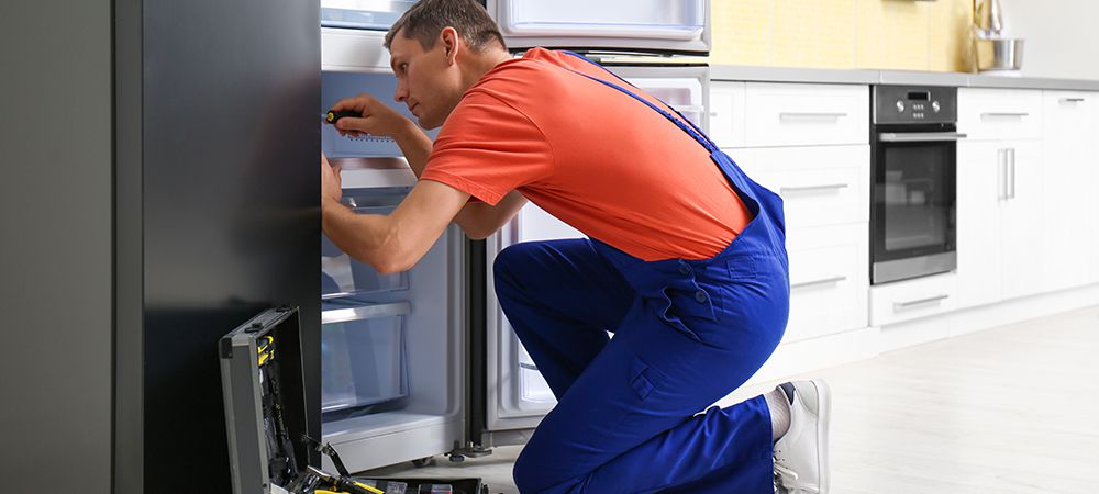 Common Fridge & Freezer Repair Problems
